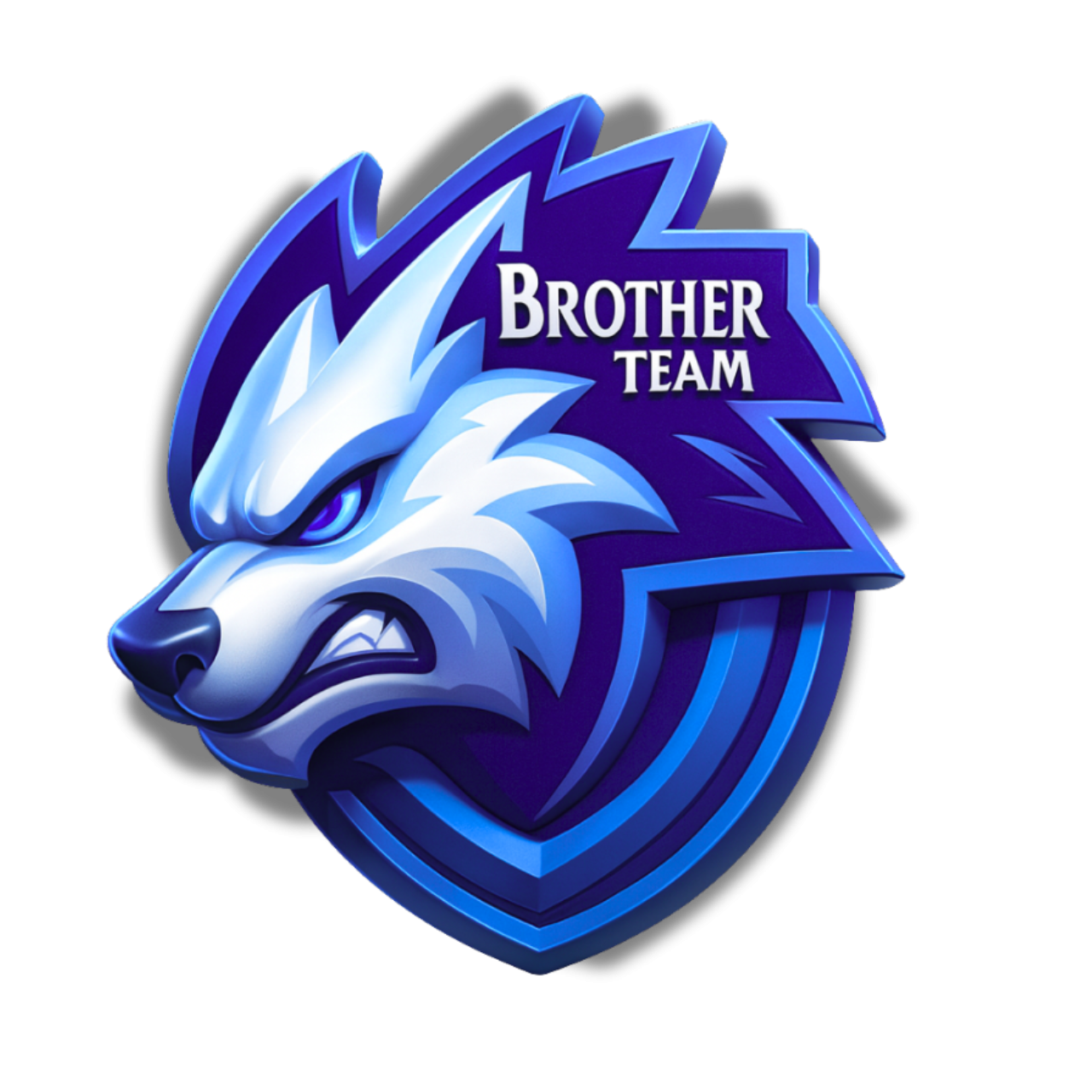 Brotherusb.com